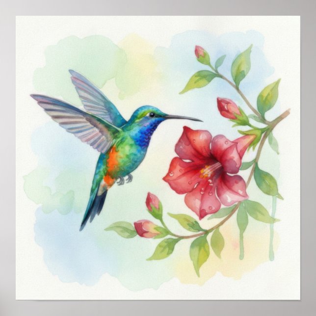 Watercolor Small Hummingbird Poster (Framsidan)