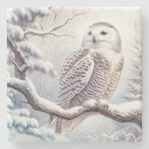 Watercolor Snowy Uggla Stenunderlägg
