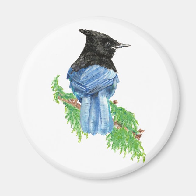 Watercolor Stellar Jay, Bird, Nature Collection Magnet (Framsidan)