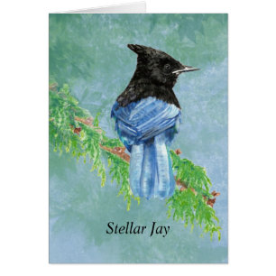 Watercolor Stellar Jay Bird Nature Hälsningskort