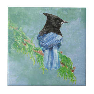 Watercolor Stellar Jay Bird Wildlife Art Kakelplatta
