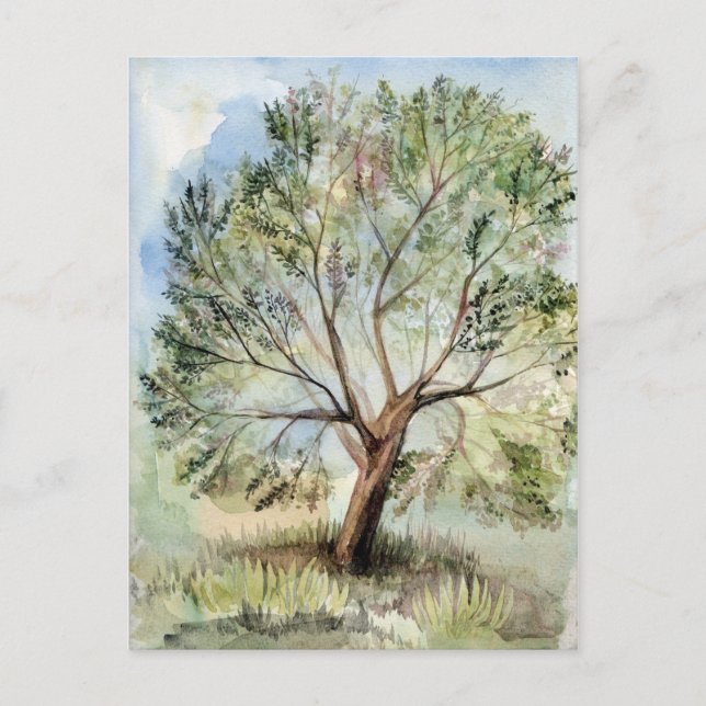 Watercolor träd vykort (Framsida)