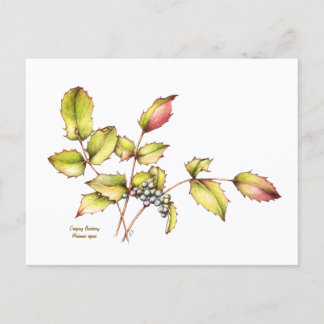 Watercolor wildflower barberry postcard vykort