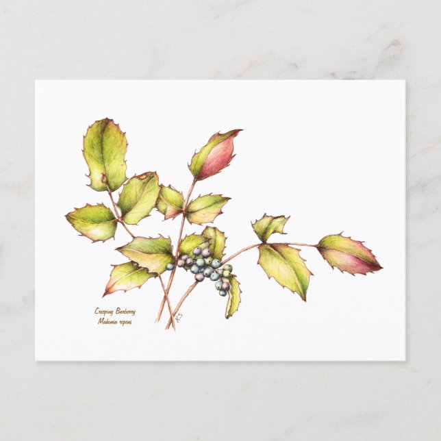 Watercolor wildflower barberry postcard vykort (Framsida)