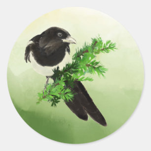 Watercolor Wildlife Magpie Bird Nature art Runt Klistermärke