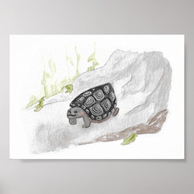 Watercolor Wildlife Natature Forest Turtle Poster (Framsidan)