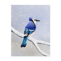 Watercolor Winter Snö Bird Blue Jay