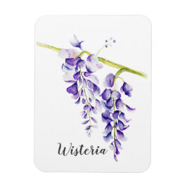 Watercolor Wisteria Botania Magnet