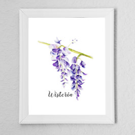 Watercolor Wisteria Botania Poster
