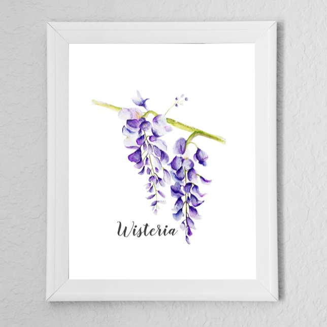 Watercolor Wisteria Botania Poster (Skapare uppladdad)