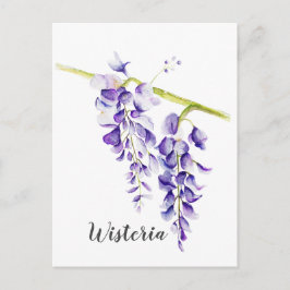 Watercolor Wisteria Botania Vykort