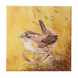 Watercolor Wren Bird Wildlife Art Kakelplatta