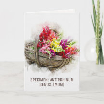 Watercolour Blooms | Snapdragon Witsamma Mors Dag