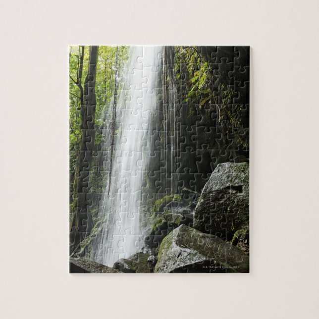 Waterfal i rainforest, Dominica, smaragdbassäng Pussel (Vertikal)