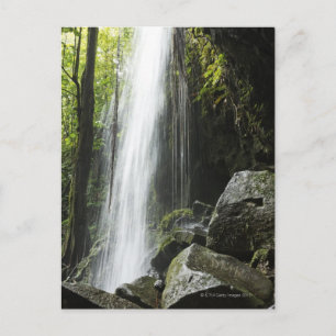 Waterfal i rainforest, Dominica, smaragdbassäng Vykort