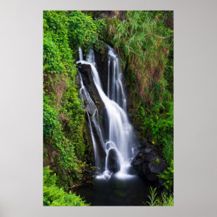 Waterfall, Hamakua kusten, Hawaii Poster