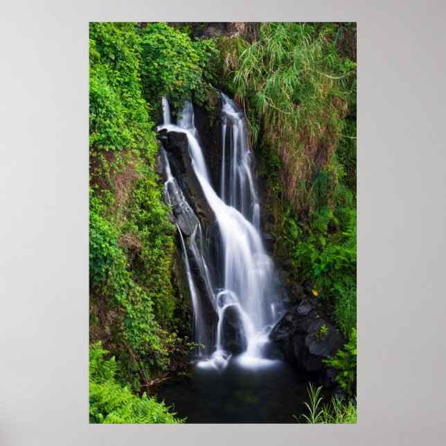 Waterfall, Hamakua kusten, Hawaii Poster (Framsidan)