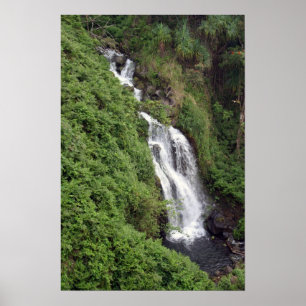Waterfall nära Hilo, Hawaii Poster