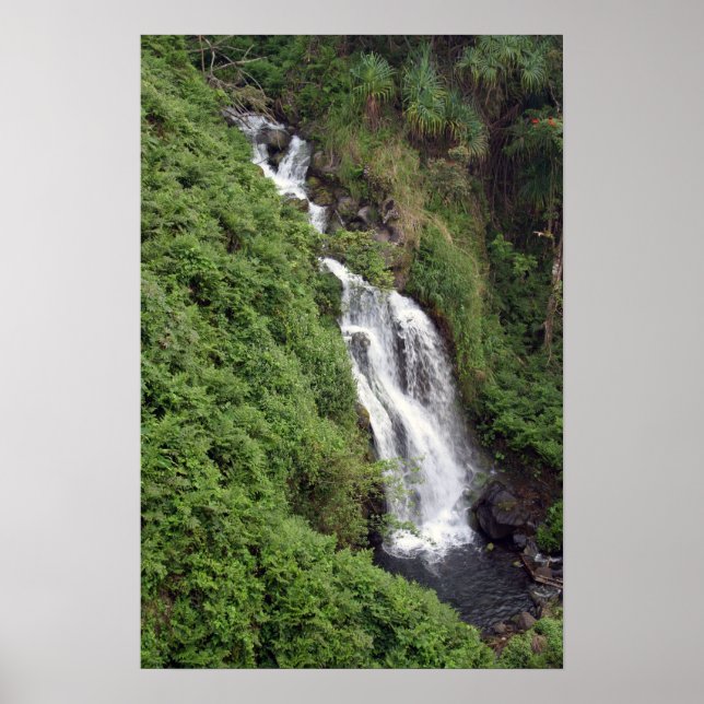 Waterfall nära Hilo, Hawaii Poster (Framsidan)
