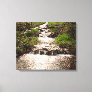 Waterfall Nature Skogen Photography Kanvastryck MN