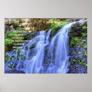 Waterfall och Moss HDR Skriv ut med skriptverse Poster