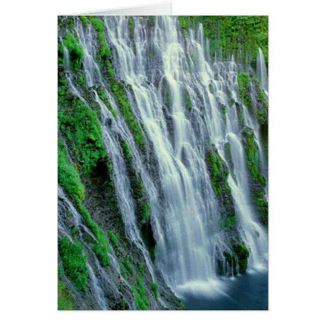 Waterfall scenic, Kalifornien Hälsningskort (Framsidan)
