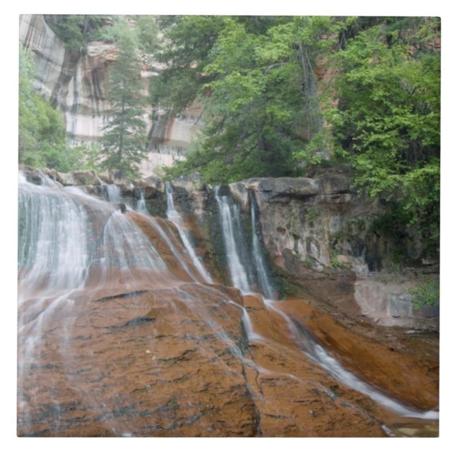 Waterfall, Zion National Park, Utah, Förenta state Kakelplatta (Framsidan)