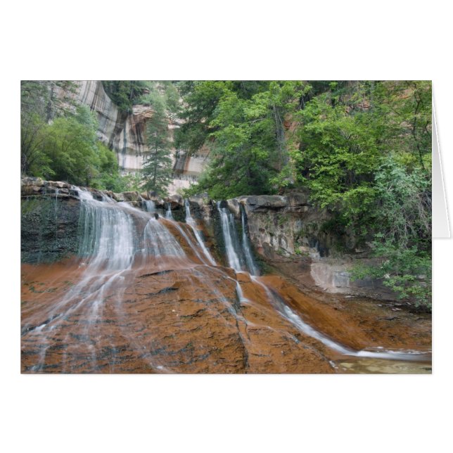 Waterfall, Zion National Park, Utah, USA Hälsningskort (Framsidan Horizontal)