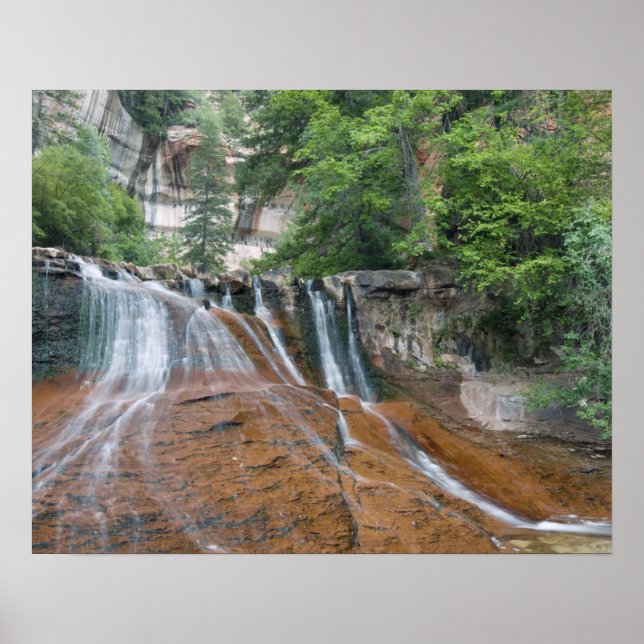 Waterfall, Zion National Park, Utah, USA Poster (Framsidan)