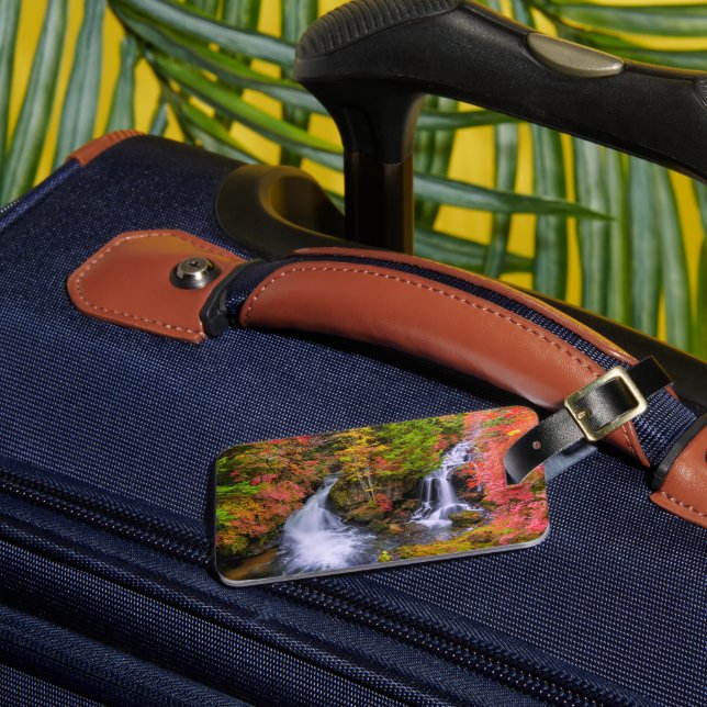 Waterfalls | Faucet Waterfalls Nikko Japan Fall Bagagebricka (Framsida Insitu 3)