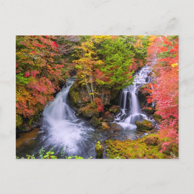 Waterfalls | Faucet Waterfalls Nikko Japan Fall Vykort (Framsida)