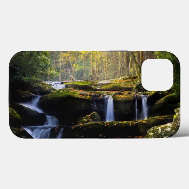 Waterfalls | Great Smoky Mountain National Park (Baksida (horisontell))