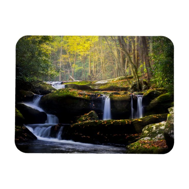 Waterfalls | Great Smoky Mountain National Park Magnet (Horisontell)