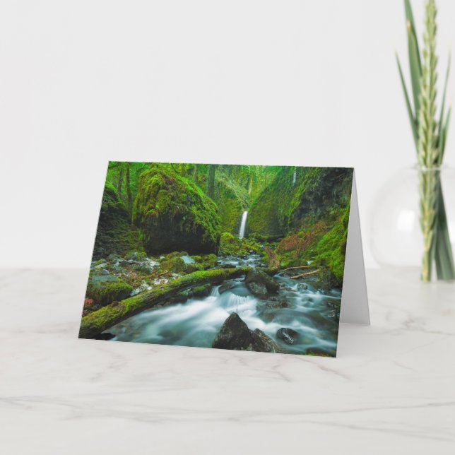 Waterfalls | Grotto Falls, Oregon Kort (Framsida)