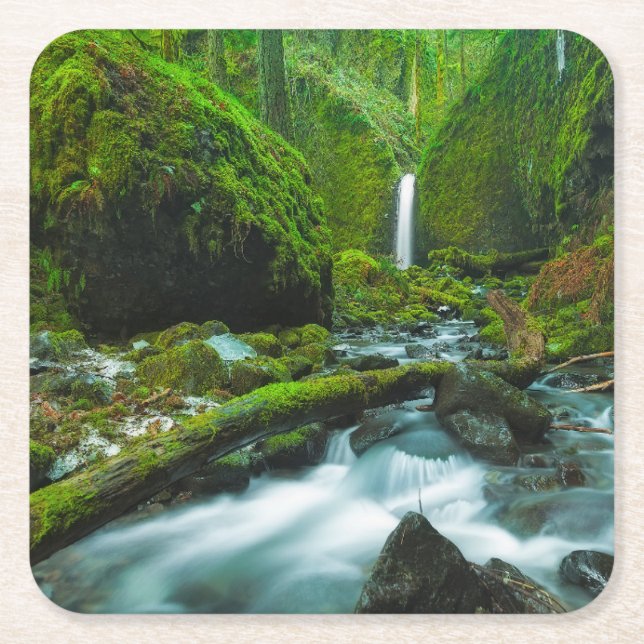 Waterfalls | Grotto Falls, Oregon Underlägg Papper Kvadrat (Framsidan)