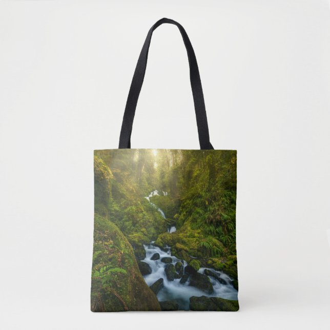 Waterfalls | Olympic National Park, Washington Tygkasse (Framsida)