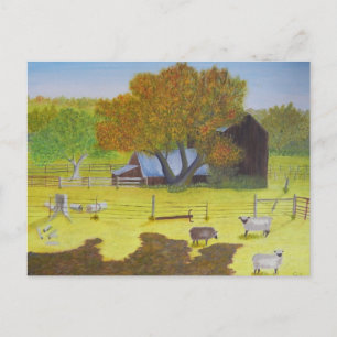 Waterford Barn & Sheep Vykort