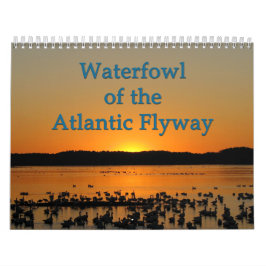 Waterfowl av den atlantiska flywayen kalender