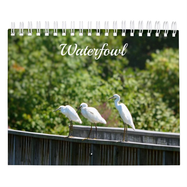 Waterfowl Calendar Kalender (Omslag)