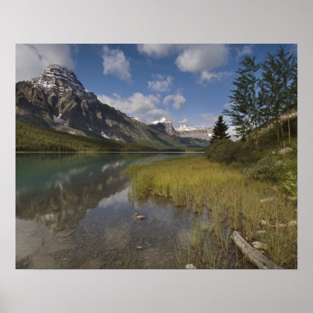Waterfowl sjö längs Icefields parkväg, Poster (Framsidan)