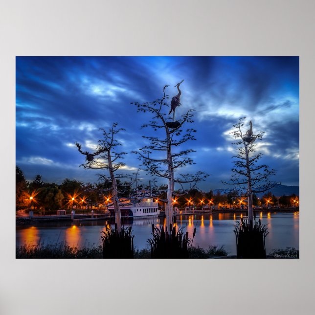 Waterfront Herons Poster (Framsidan)