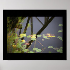 Waterlilies Photo Poster