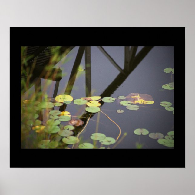 Waterlilies Photo Poster (Framsidan)