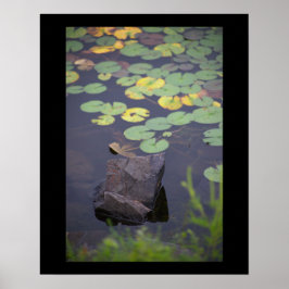 Waterlilies Photo Poster