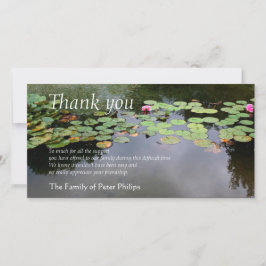 Waterlily 3 fredliga Garden Sympathy Tack