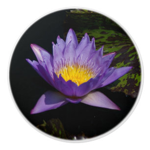 Waterlily Ceramic Knob Knopp