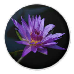 Waterlily Ceramic Knob Knopp
