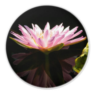 Waterlily Ceramic Knob Knopp