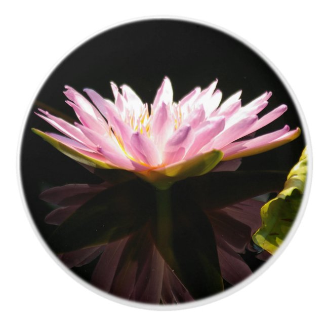 Waterlily Ceramic Knob Knopp (Framsidan)
