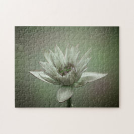 Waterlily green tone puzzle pussel